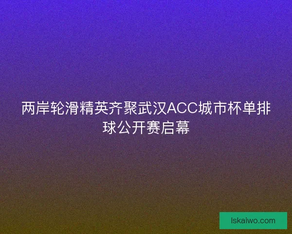 两岸轮滑精英齐聚武汉ACC城市杯单排球公开赛启幕